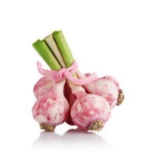 29613-garlic-660×660