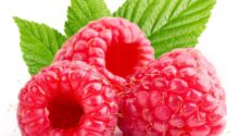 50747-raspberry-660×660